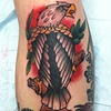 eagle2011