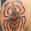 Smoking SPider