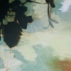 Shallows (Wake)