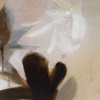 Magnolia 1