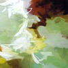 Tangled Insight