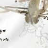 Bloom of Old 3.1