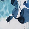 Nightshade 1