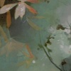 Shifting Muse