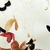 Nightbloom 3.1