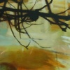 Resonance (Flutter)