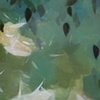 Veiled Fall
