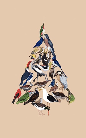 Bird Tree (Conifer) 
