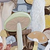 Fungus Among Us (Detail)