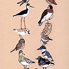 Love Bird Stack