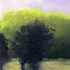 Bright Light On Trees