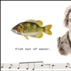 Fish Out of Water