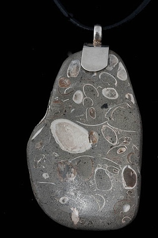 031  Fossil with Silver
