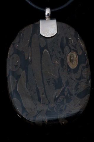 030 Torino Wood Fossil with Silver