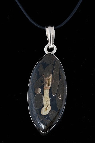 019 Petrified Torino Wood with Silver