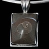 014 Fossil Necklace with Silver Neckwire