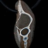 009  Fossil Necklace with Leather