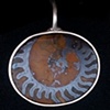 053 Sterling Ammonite Pendant