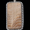 013 Petrified Wood with Sterling