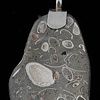 031  Fossil with Silver