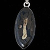 019 Petrified Torino Wood with Silver