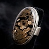 045 Fossilized Terino Wood and Sterling Ring