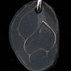 024 Fossil with Sterling
