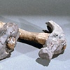 Hammers