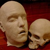 Head & Skull