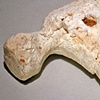 Broken Hammer