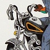 The Denim Rider