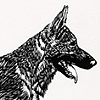 The Woodcut Dog