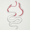 Split Snake