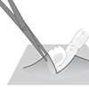 Medical Illustration