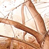 Selected Works on Paper