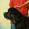 Dog Wash