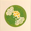 Umpierre, Migdalia.1523