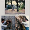 Polvor&iacute;n de San Ger&oacute;nimo, 1994