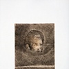 Cuevas, Jos&eacute; Luis. 347