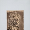 Cuevas, Jos&eacute; Luis. 350