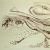 Penne de Castillo, Maria Luisa.1609