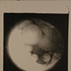 Rocca, Robert.1190