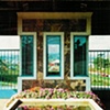 Sabanera de Cidra, 1990