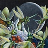 Jim&eacute;nez Pr&eacute;vidi, Mila  16x14.735