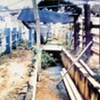 Sabanera de Cidra, 1990