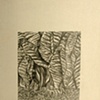 Pel&aacute;ez, Jos&eacute; A.1054
