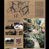 Sabanera de Cidra, 1990