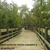Paseo de Pi&ntilde;ones, 2000