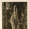 Trelles, Rafael.1502