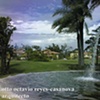 Dorado Beach East, 1991